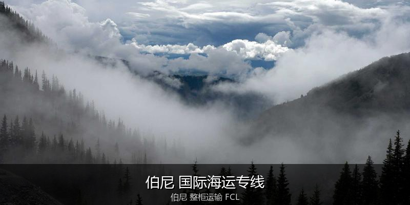 海运拼箱与整柜运输优劣对比