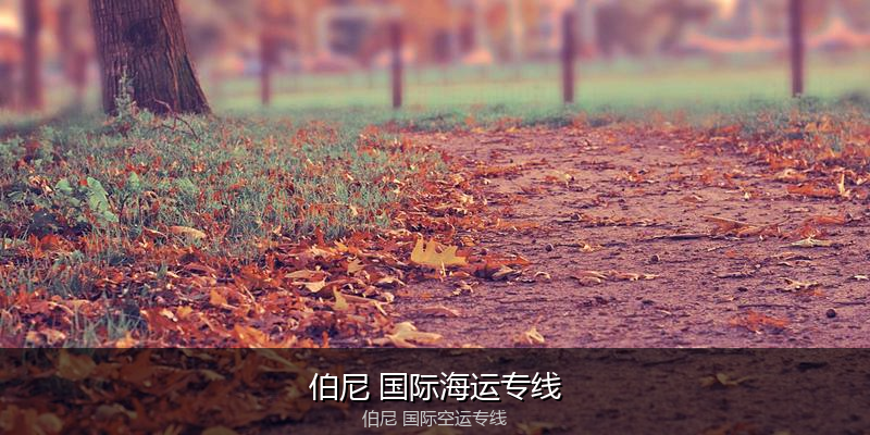 中国出口澳大利亚海运清关全攻略